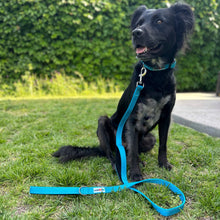 Load image into Gallery viewer, Reflective Nylon Leash with Padded Traffic Handle (5ft)