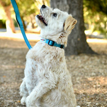 Load image into Gallery viewer, Reflective Martingale Collar with Quick Release Buckle