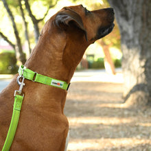 Load image into Gallery viewer, Reflective Martingale Collar with Quick Release Buckle