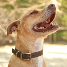 Load image into Gallery viewer, Vintage Vegan Leather Collars