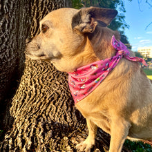 Load image into Gallery viewer, Magical Unicorn Dog Bandana