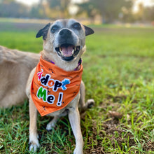 Load image into Gallery viewer, "Adopt Me" Dog Bandana