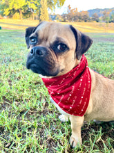 Load image into Gallery viewer, I am Loved Dog Bandana
