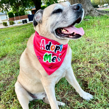 Load image into Gallery viewer, "Adopt Me" Dog Bandana