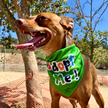 Load image into Gallery viewer, "Adopt Me" Dog Bandana