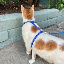 Load image into Gallery viewer, Polka Dot Cat Harness and Leash Set (3/8")