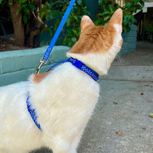 Load image into Gallery viewer, Polka Dot Cat Harness and Leash Set (3/8")