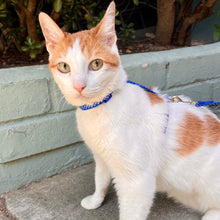 Load image into Gallery viewer, Polka Dot Cat Harness and Leash Set (3/8")