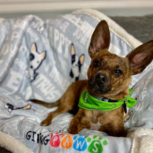 Load image into Gallery viewer, Plush Sherpa Blanket - We Are Dogs Blankets - dogs GivingPaws