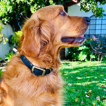 Load image into Gallery viewer, Vintage Vegan Leather Collars