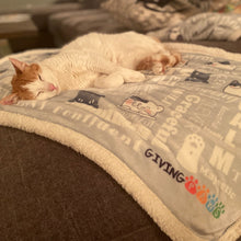 Load image into Gallery viewer, Plush Sherpa Blanket - We Are Cats
