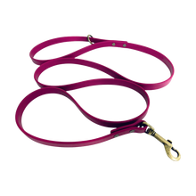 Load image into Gallery viewer, Vintage Vegan Leather Leashes (5 ft)
