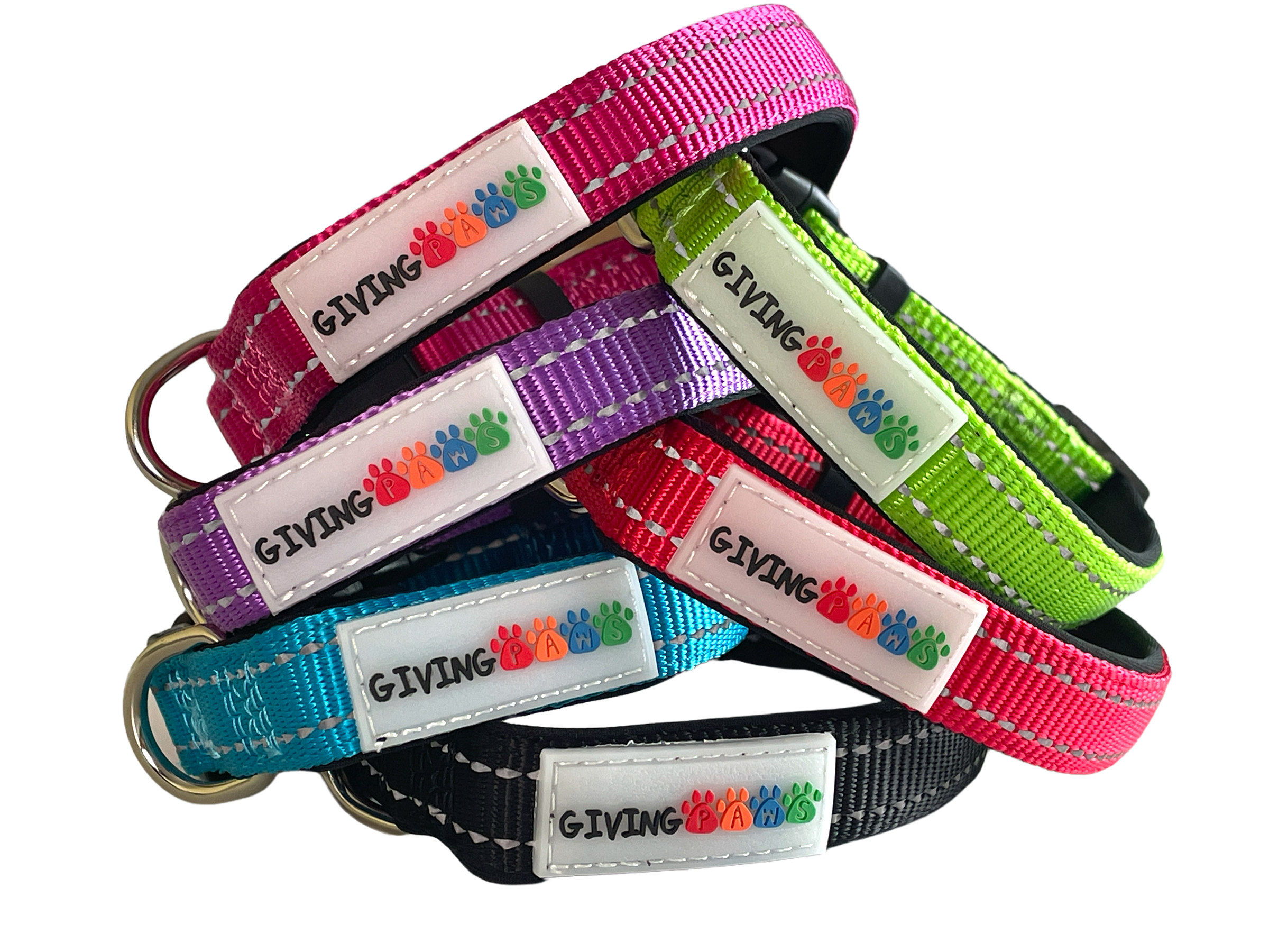 Reflective Padded Nylon Dog Collar