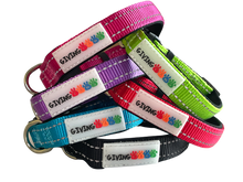 Load image into Gallery viewer, Reflective Padded Nylon Dog Collar