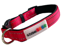 Load image into Gallery viewer, Reflective Padded Nylon Dog Collar