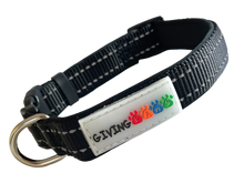 Load image into Gallery viewer, Reflective Padded Nylon Dog Collar