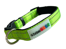 Load image into Gallery viewer, Reflective Padded Nylon Dog Collar