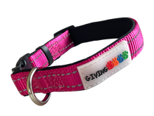 Load image into Gallery viewer, Reflective Padded Nylon Dog Collar