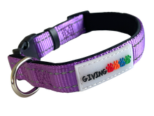 Load image into Gallery viewer, Reflective Padded Nylon Dog Collar