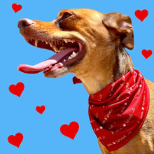 Load image into Gallery viewer, I am Loved Dog Bandana