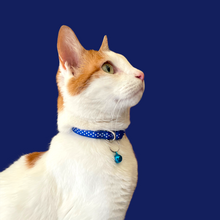 Load image into Gallery viewer, Polka Dot Cat Collar (3/8")