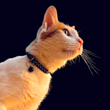 Load image into Gallery viewer, Polka Dot Cat Collar (3/8")