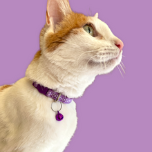 Load image into Gallery viewer, Polka Dot Cat Collar (3/8")