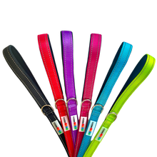 Load image into Gallery viewer, Alpha Paw Donation Box