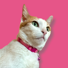 Load image into Gallery viewer, Polka Dot Cat Collar (3/8")