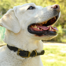 Load image into Gallery viewer, Vintage Vegan Leather Collars