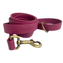 Load image into Gallery viewer, Vintage Vegan Leather Leashes (5 ft)