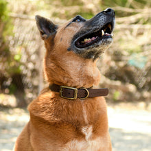Load image into Gallery viewer, Vintage Vegan Leather Collars