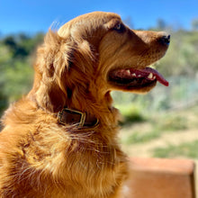 Load image into Gallery viewer, Vintage Vegan Leather Collars