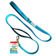 Load image into Gallery viewer, Reflective Nylon Leash with Padded Traffic Handle (5ft)
