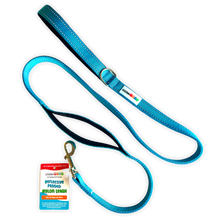 Load image into Gallery viewer, Reflective Nylon Leash with Padded Traffic Handle (5ft)