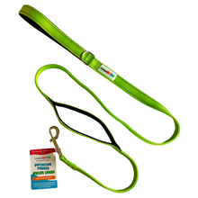 Load image into Gallery viewer, Reflective Nylon Leash with Padded Traffic Handle (5ft)