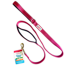 Load image into Gallery viewer, Reflective Nylon Leash with Padded Traffic Handle (5ft)