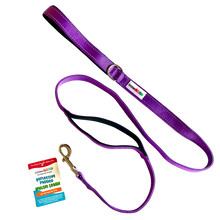 Load image into Gallery viewer, Reflective Nylon Leash with Padded Traffic Handle (5ft)