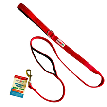 Load image into Gallery viewer, Reflective Nylon Leash with Padded Traffic Handle (5ft)