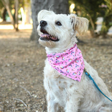 Load image into Gallery viewer, Magical Unicorn Dog Bandana