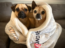 Load image into Gallery viewer, Plush Sherpa Blanket - We Are Dogs
