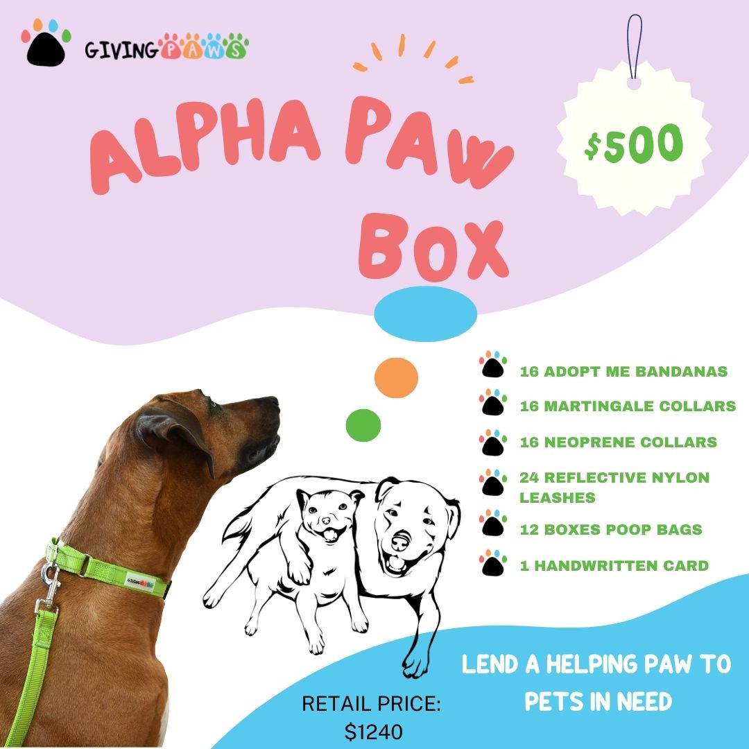Alpha Paw Donation Box