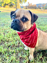 Load image into Gallery viewer, I am Loved Dog Bandana
