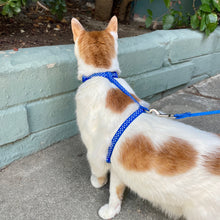 Load image into Gallery viewer, Polka Dot Cat Harness and Leash Set (3/8&quot;)
