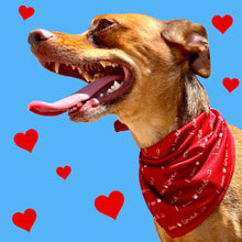 Load image into Gallery viewer, I am Loved Dog Bandana

