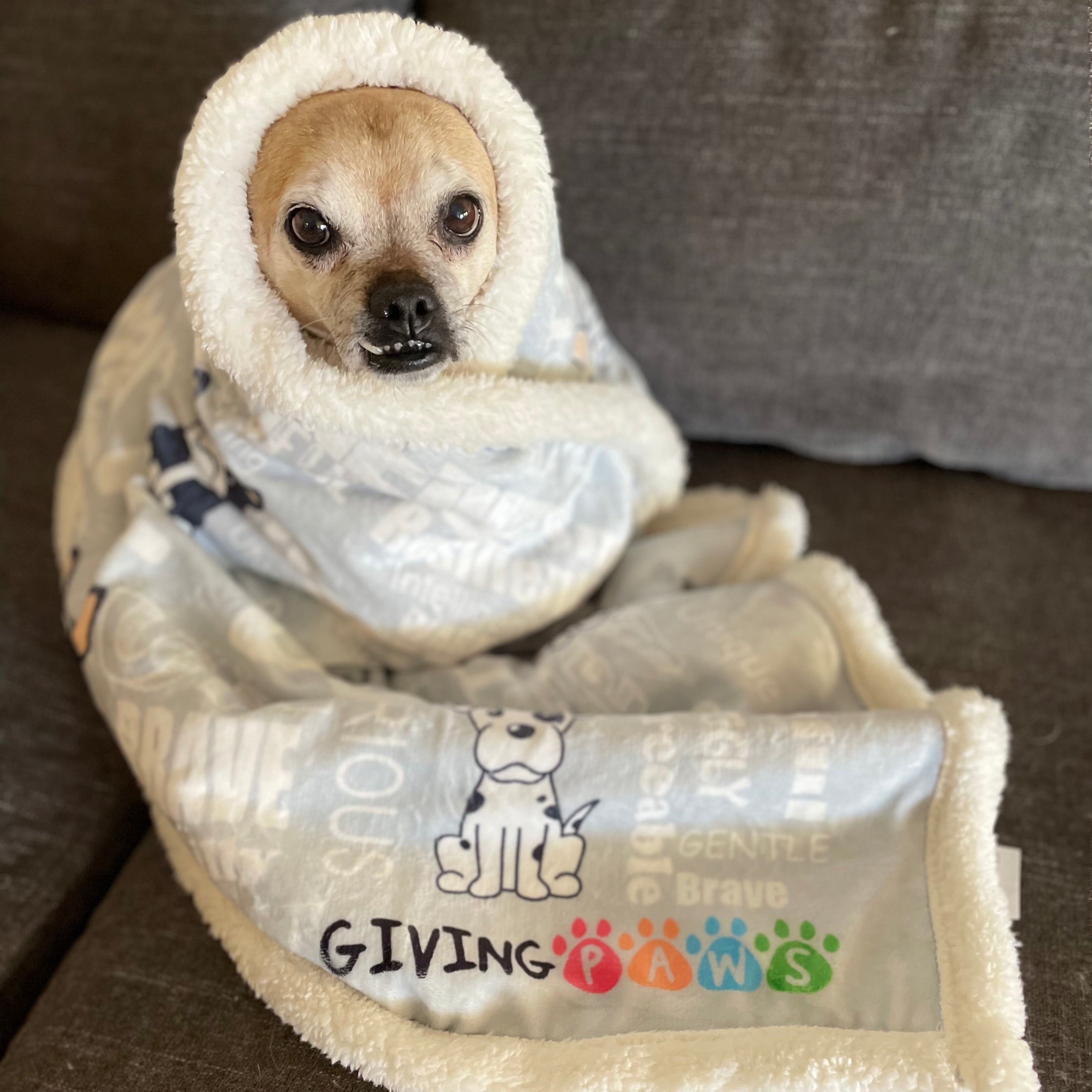 Plush Sherpa Blanket - We Are Dogs Blankets - dogs GivingPaws 