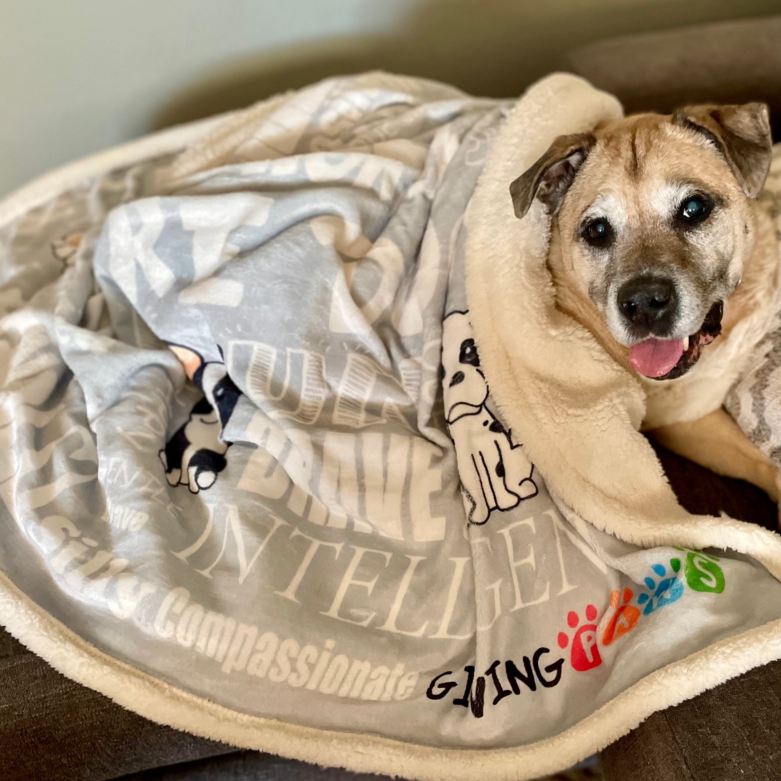 Sherpa hot sale dog blankets